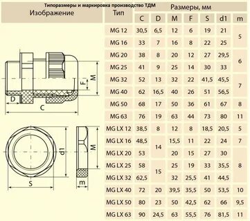 1xbet o que é 