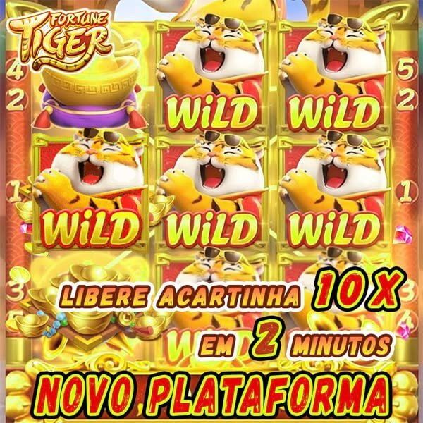 blaze 6 casino 