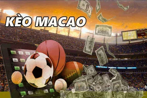 blaze e le mega macchine video 