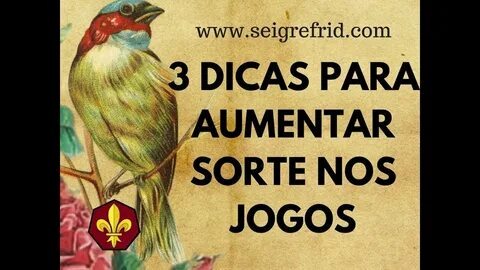 os melhores sites de apostas do brasil 