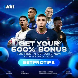 quinn bet app 