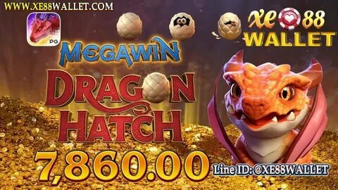 resultado do jogo do bicho de hoje da paraíba 